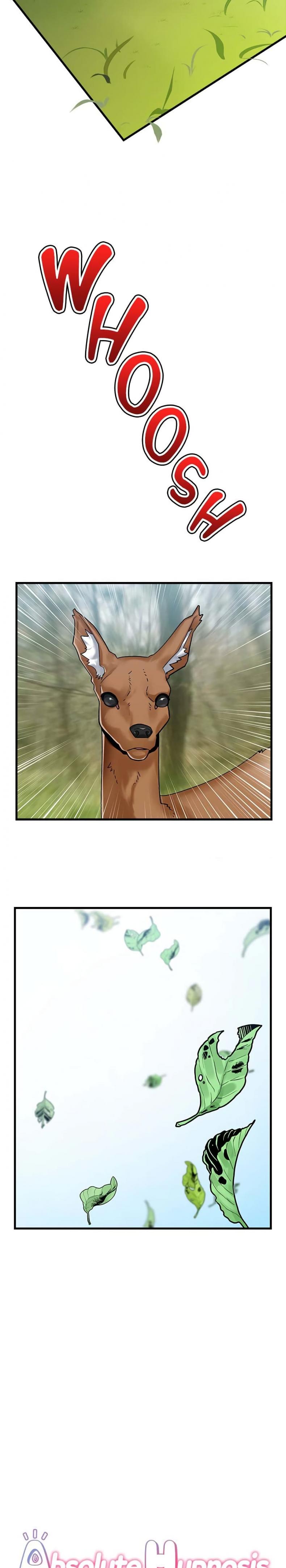 page-5