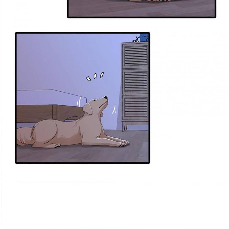page-55