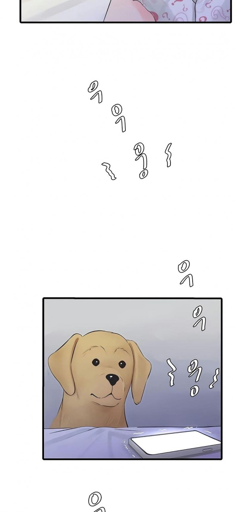page-41