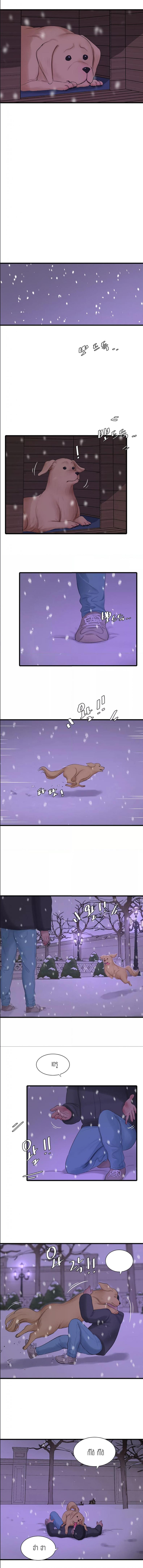 page-7
