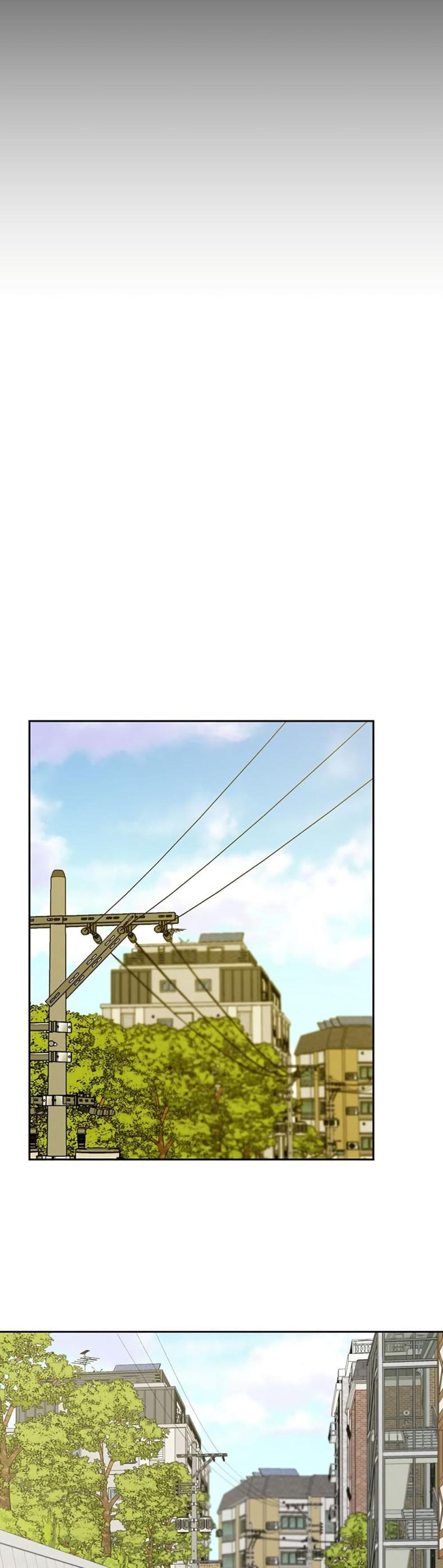 page-31