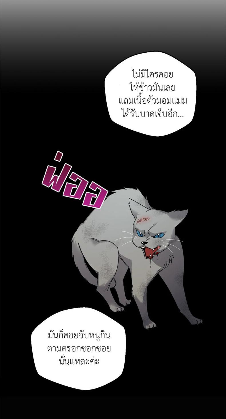 page-24