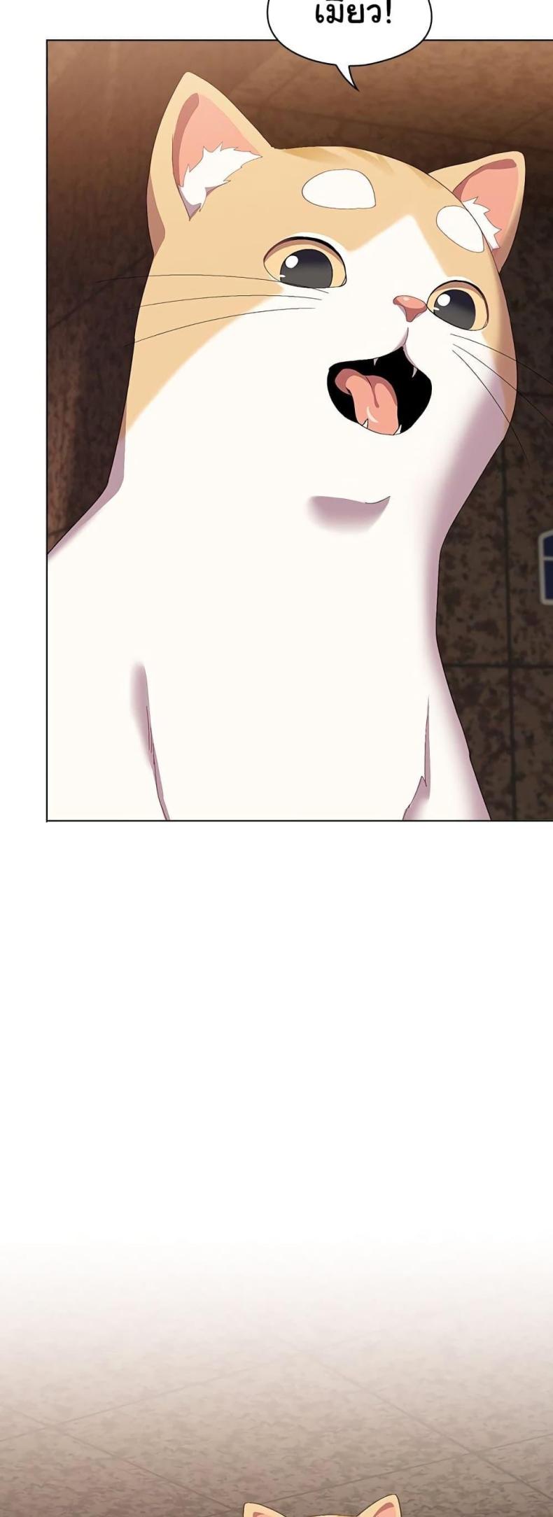 page-64