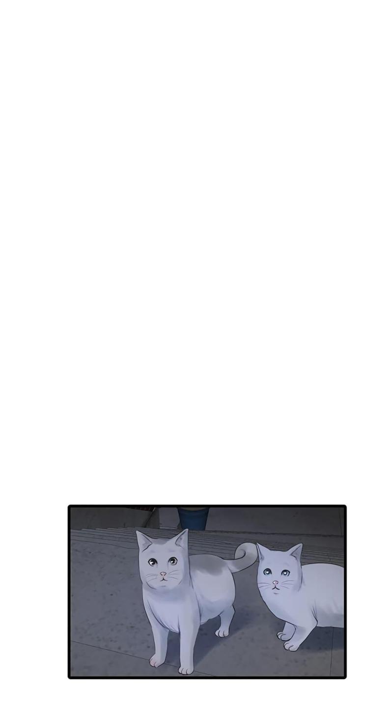page-43