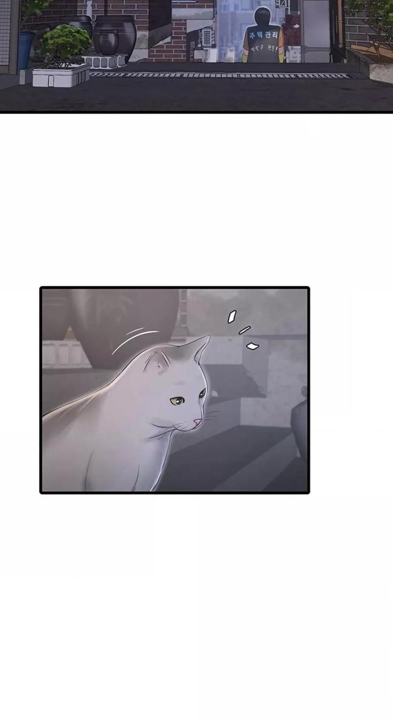 page-29