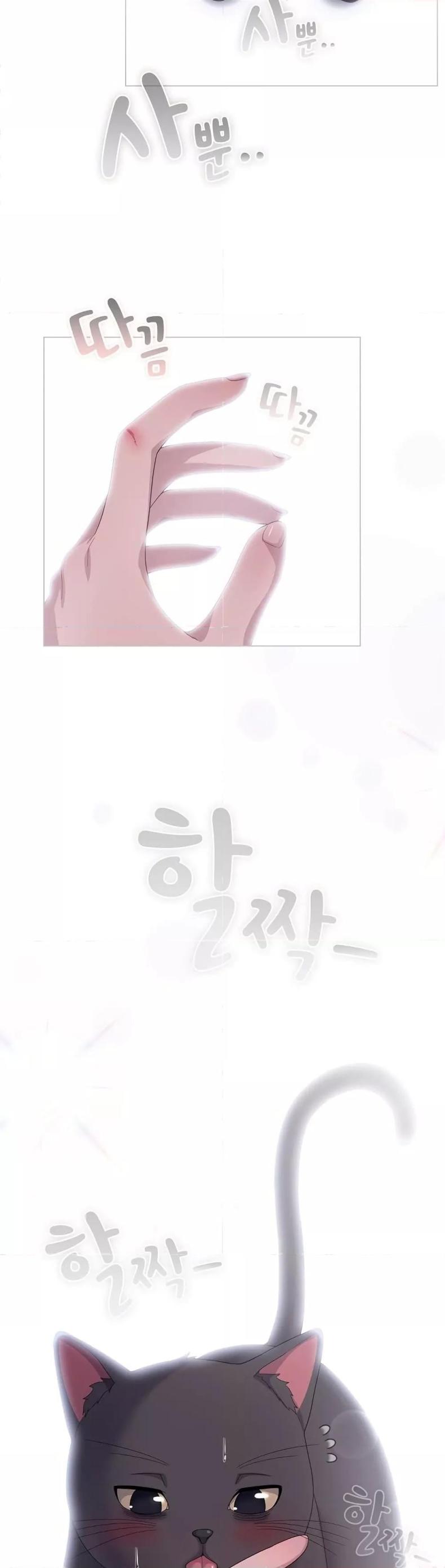 page-19