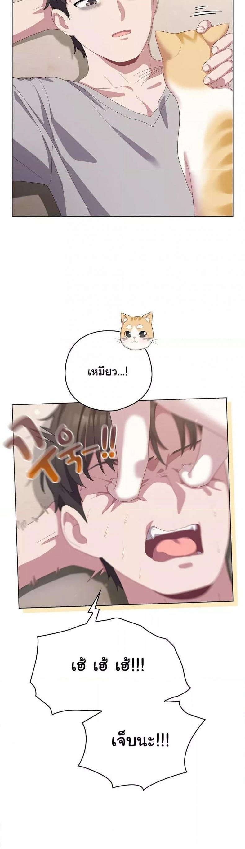 page-37