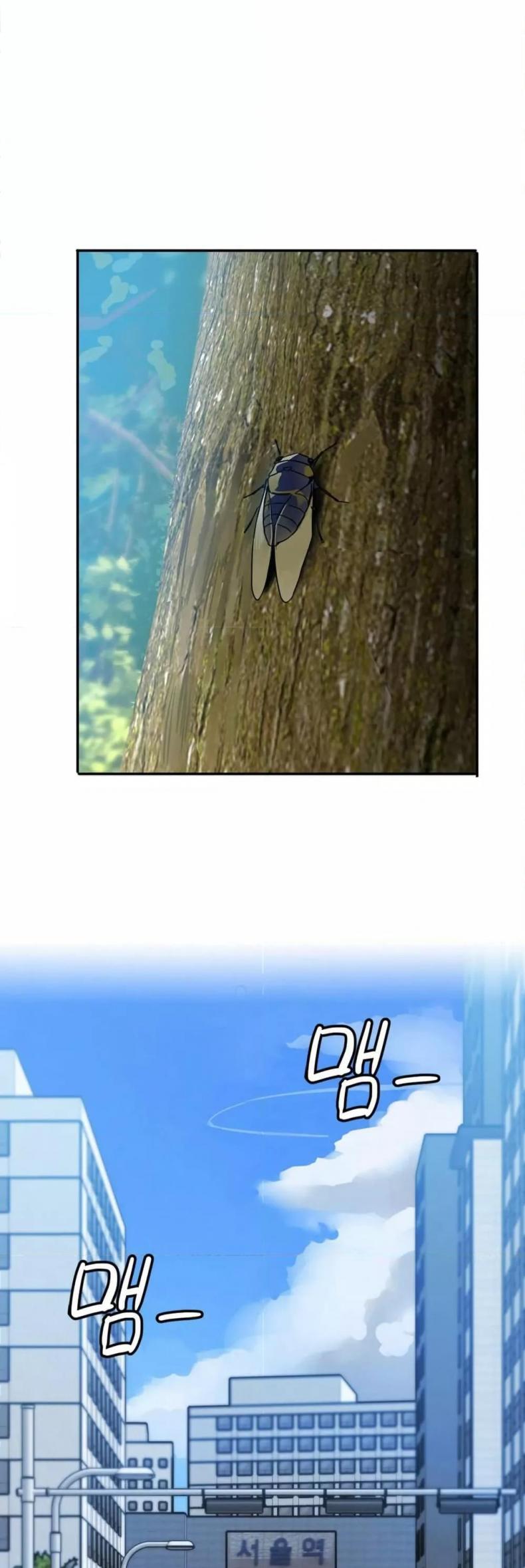 page-46