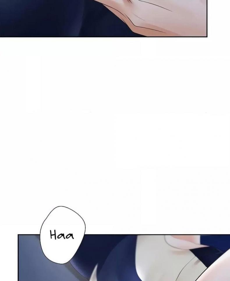 page-41
