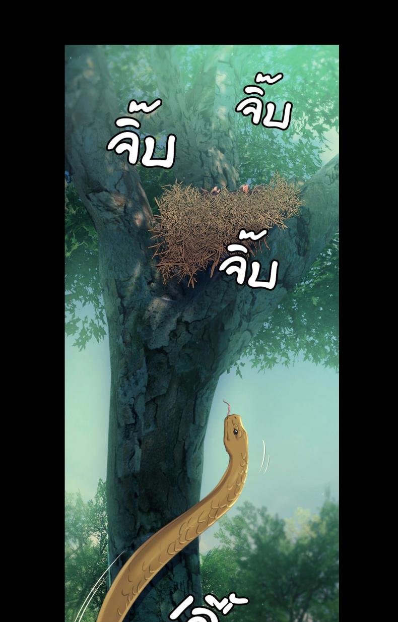 page-31