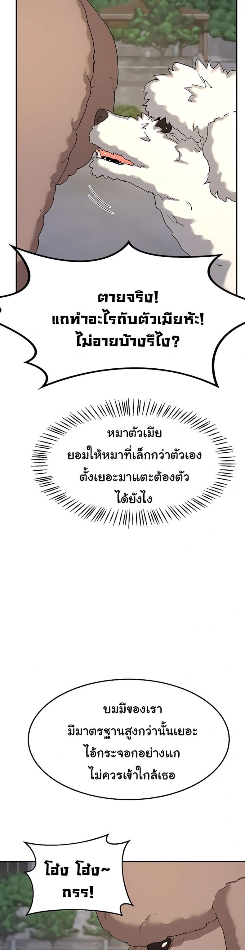 page-29