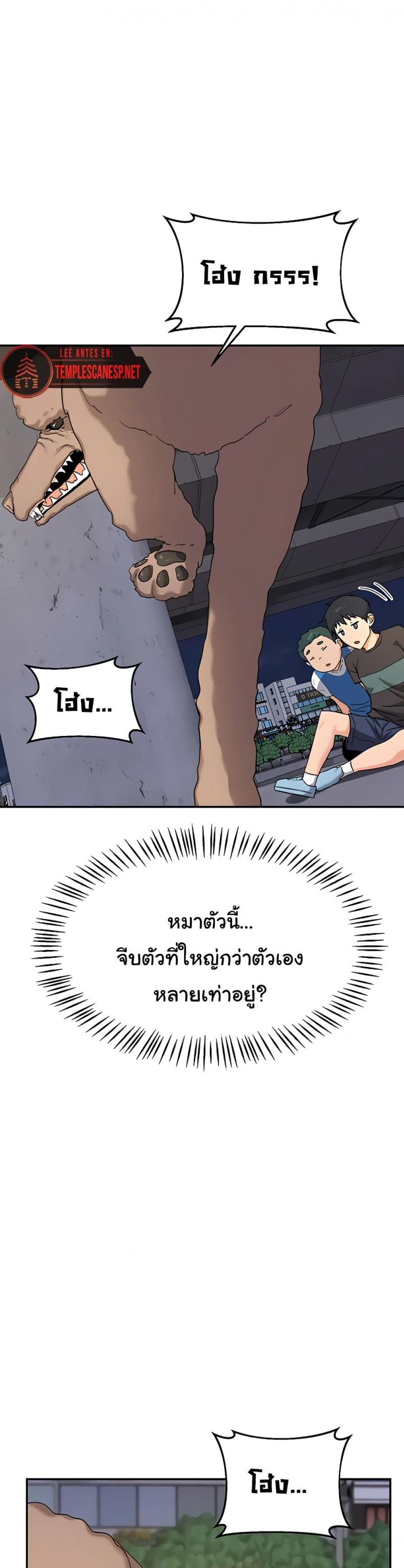 page-28