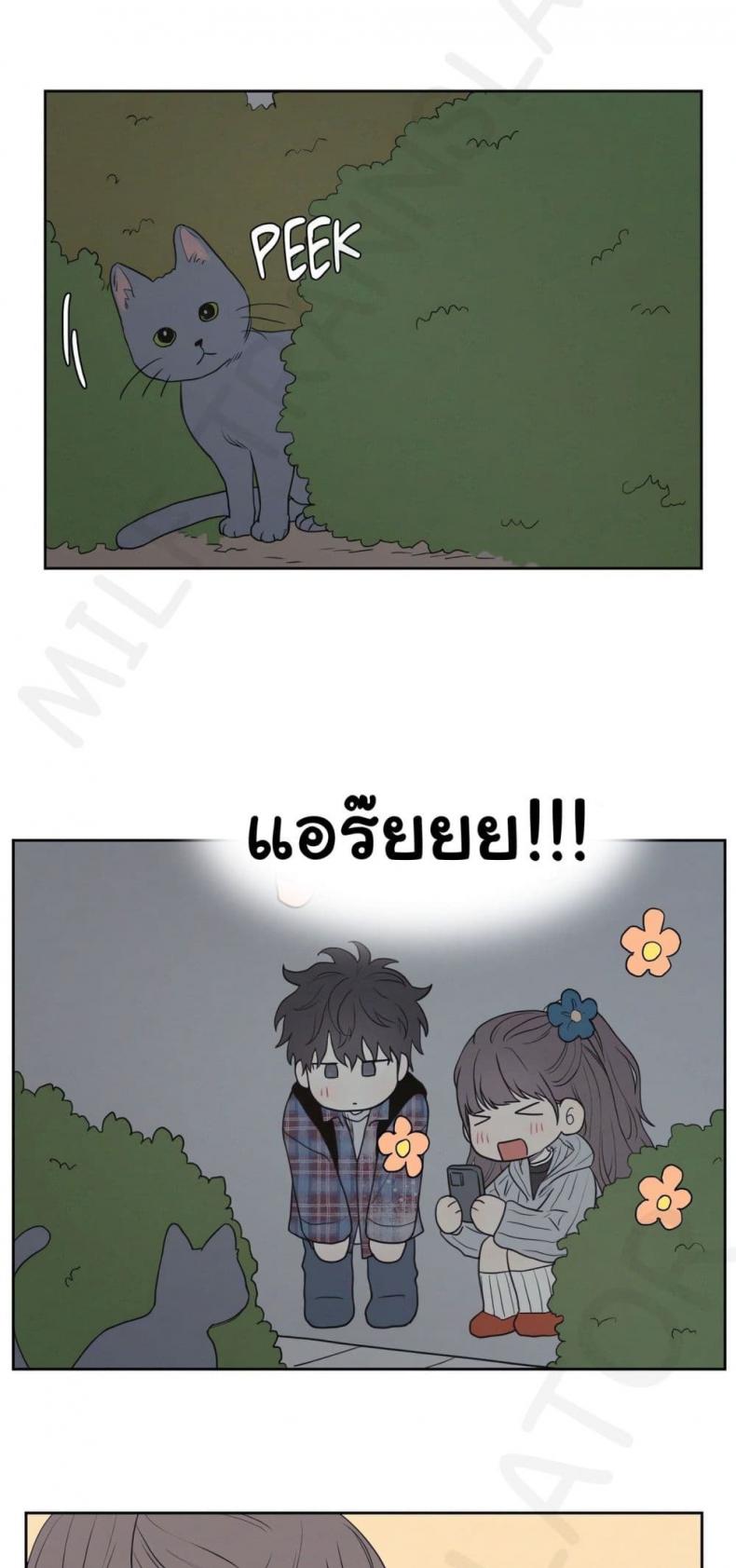 page-20