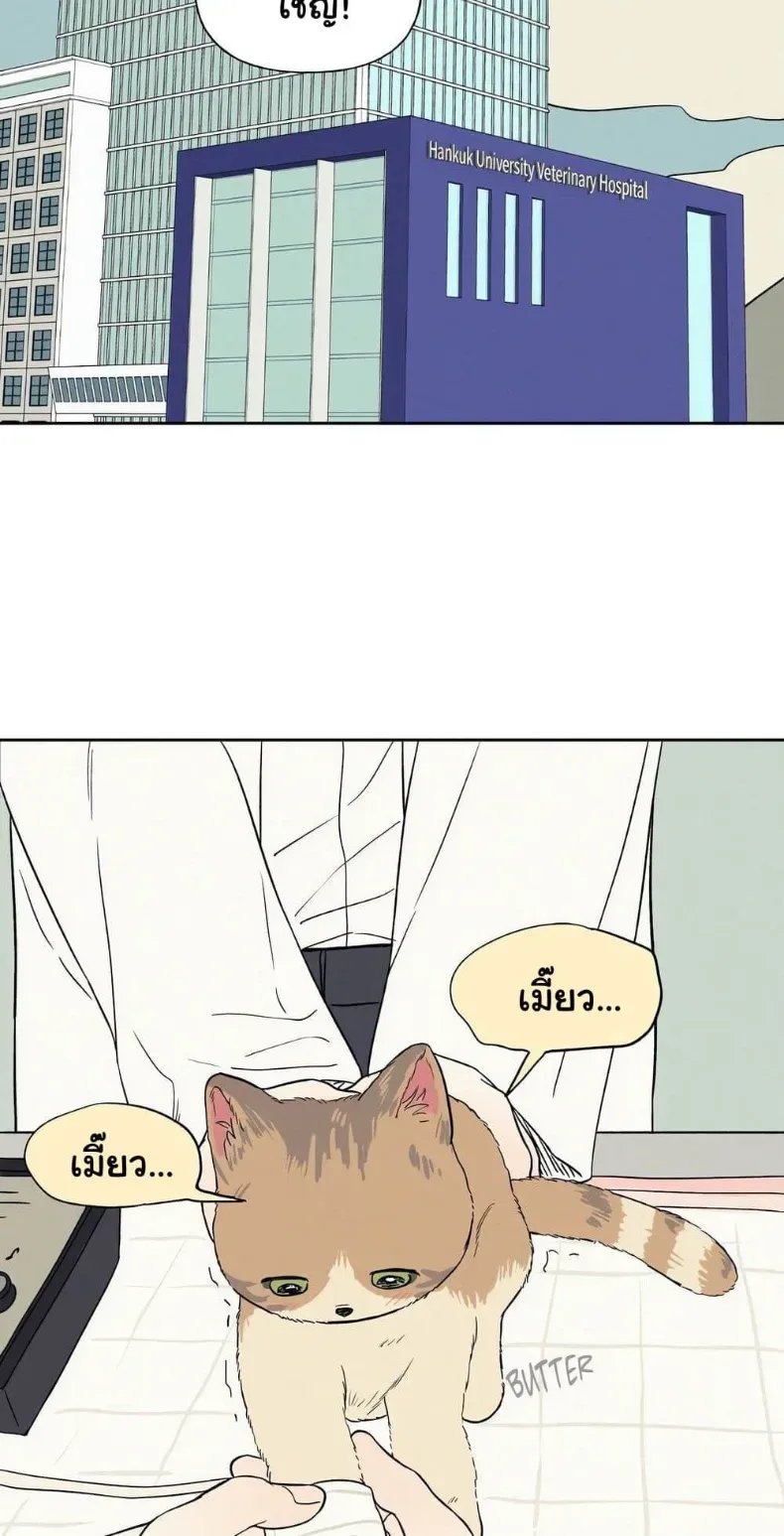 page-38