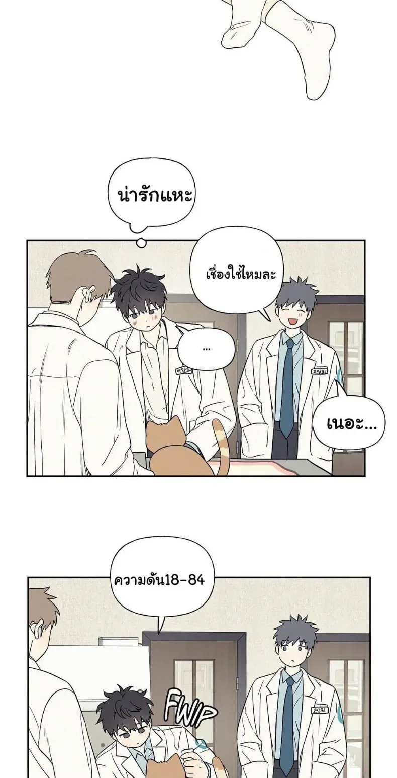 page-41