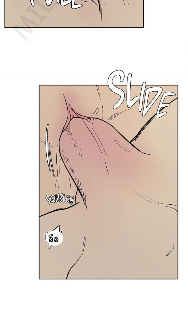 page-29