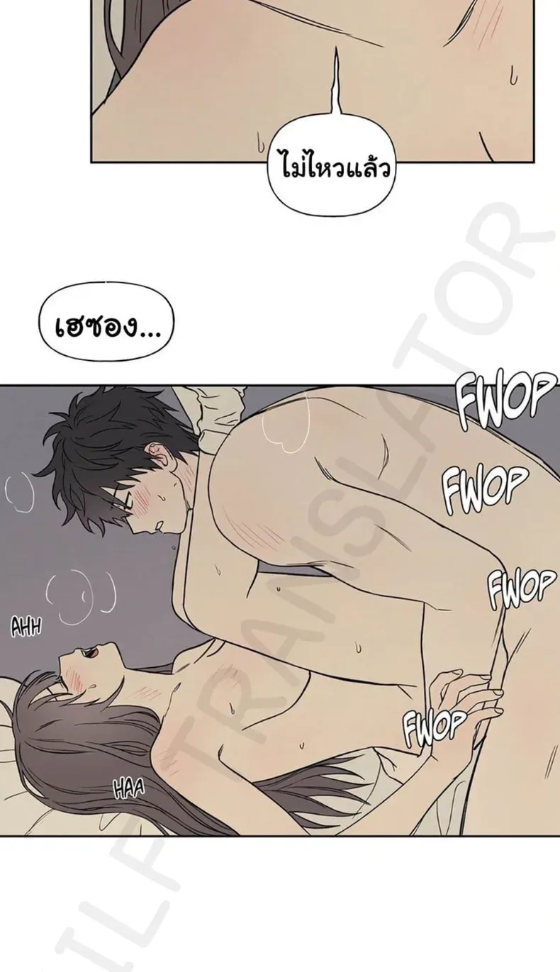 page-37