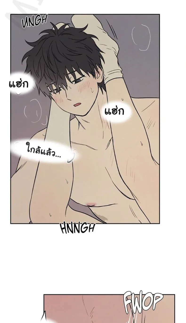 page-38