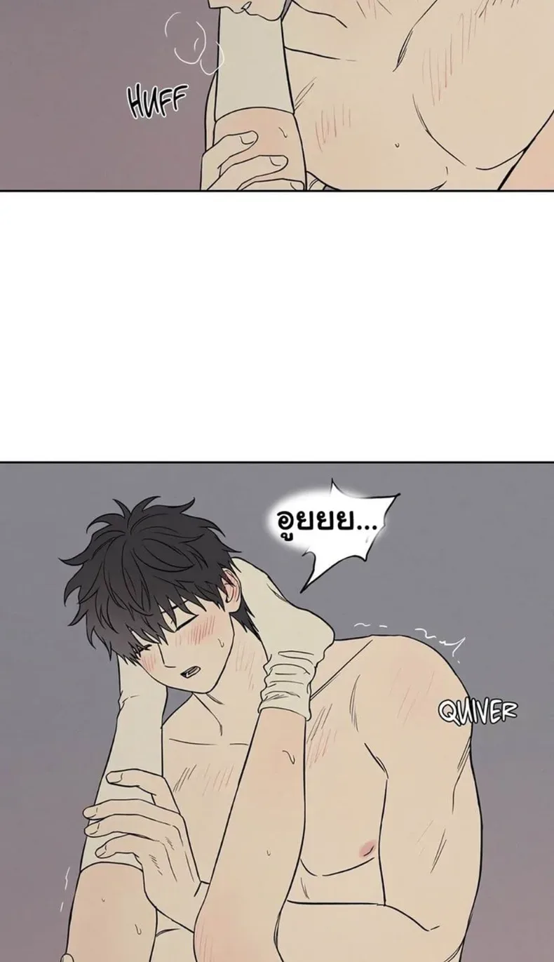 page-41