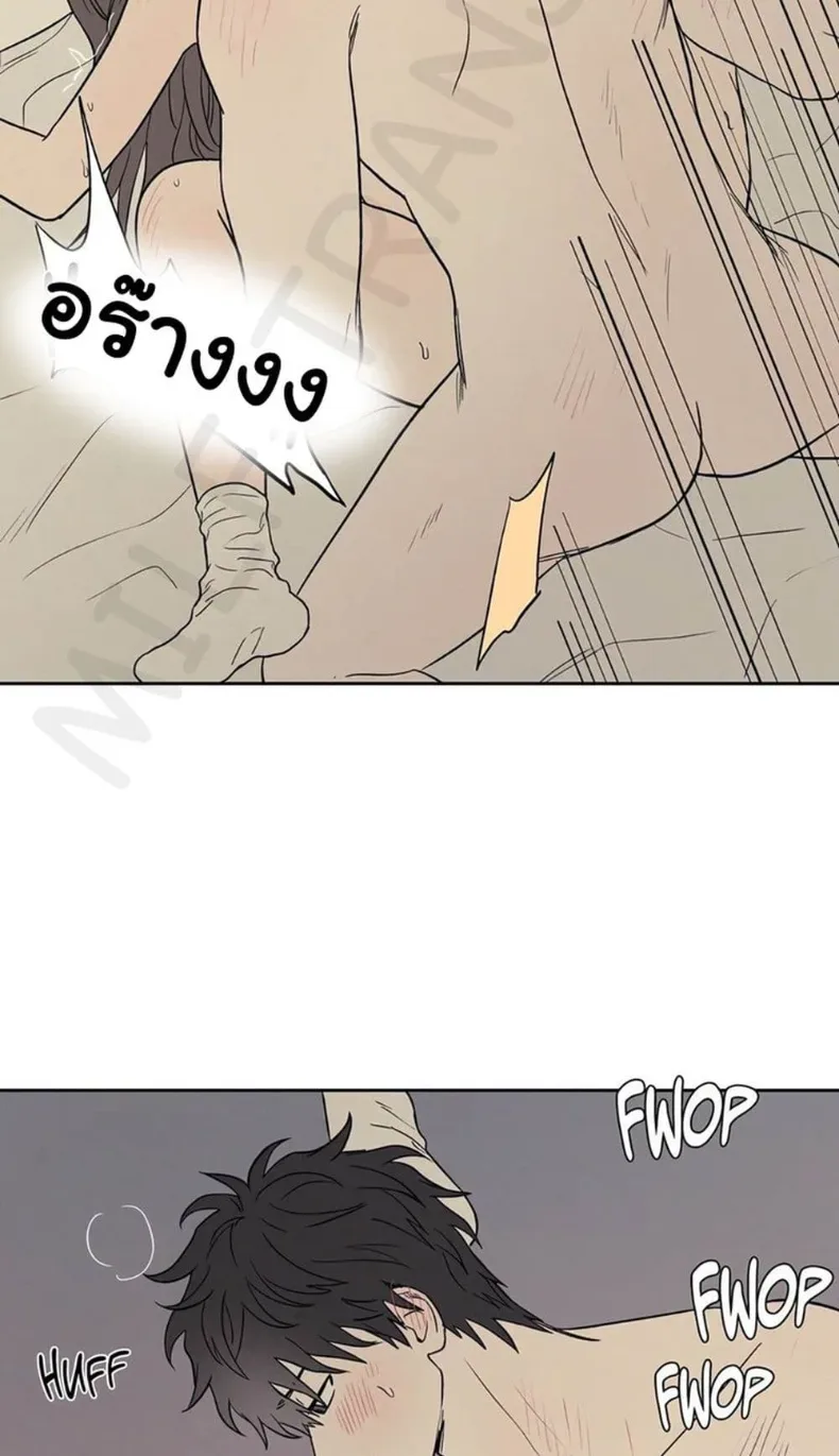 page-40
