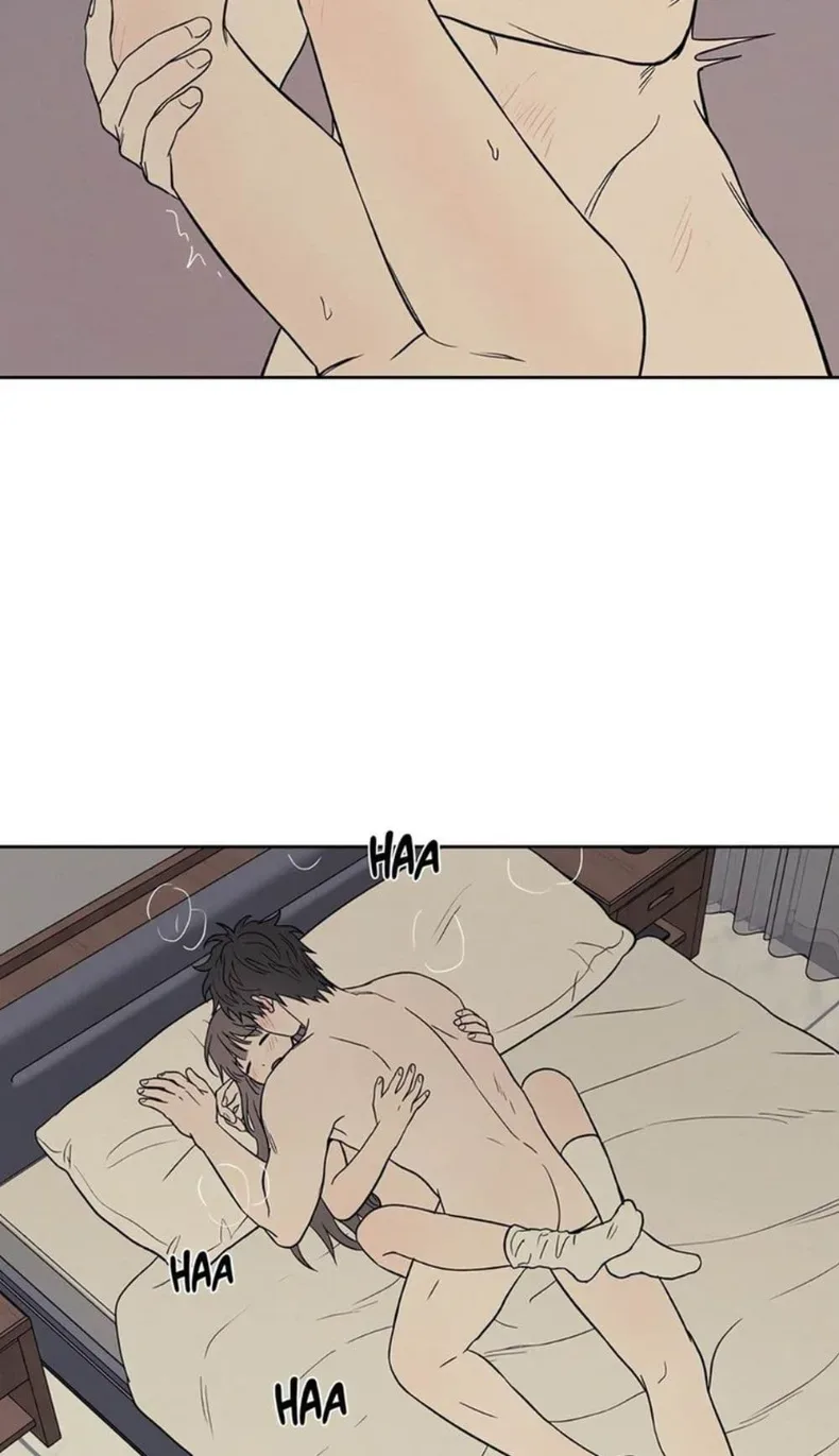 page-42