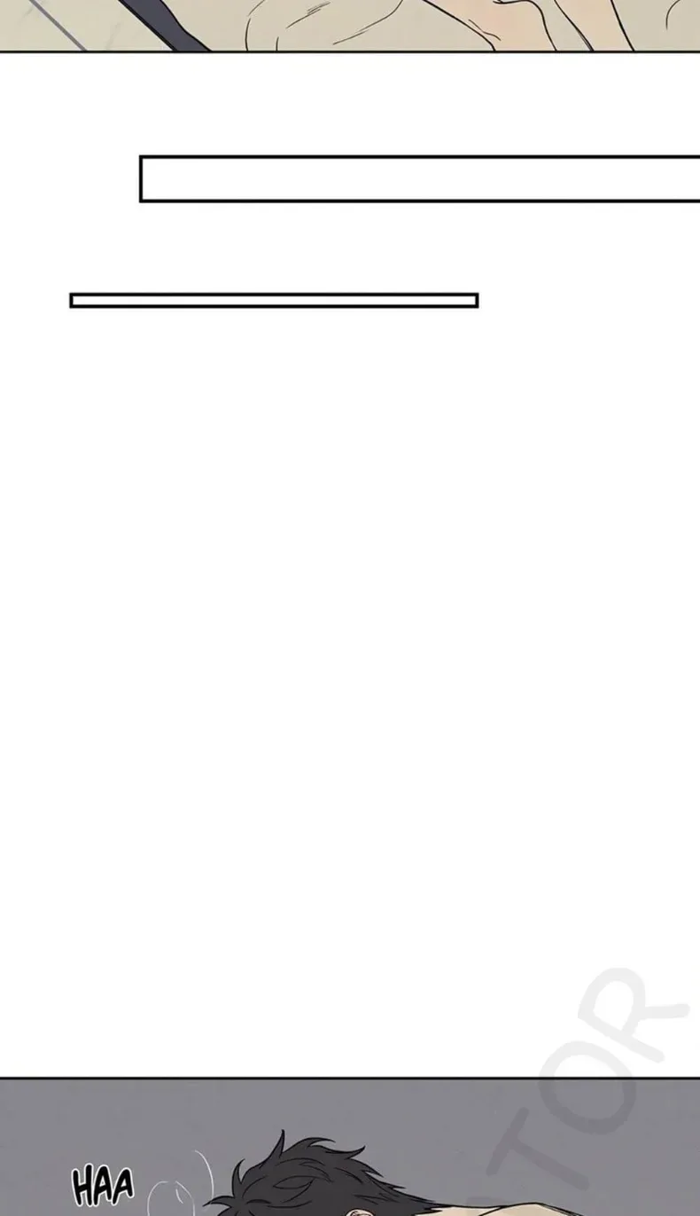page-43