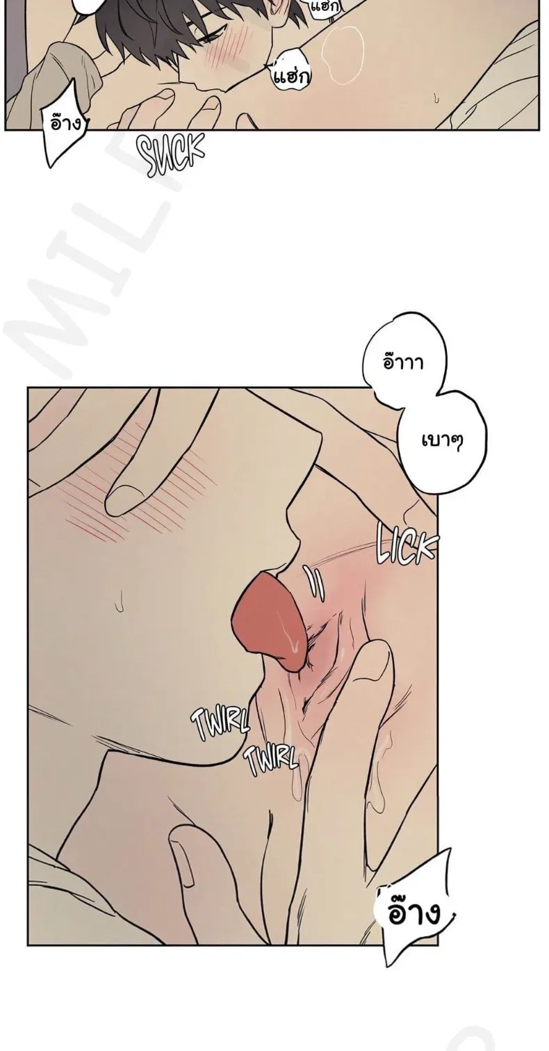 page-44
