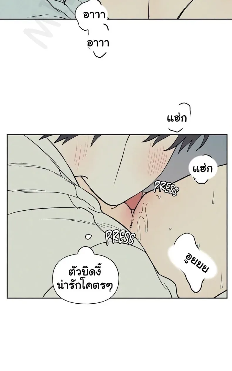 page-29