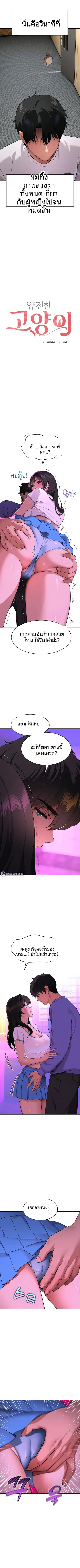 page-3