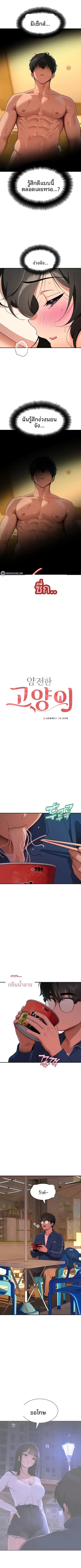 page-3
