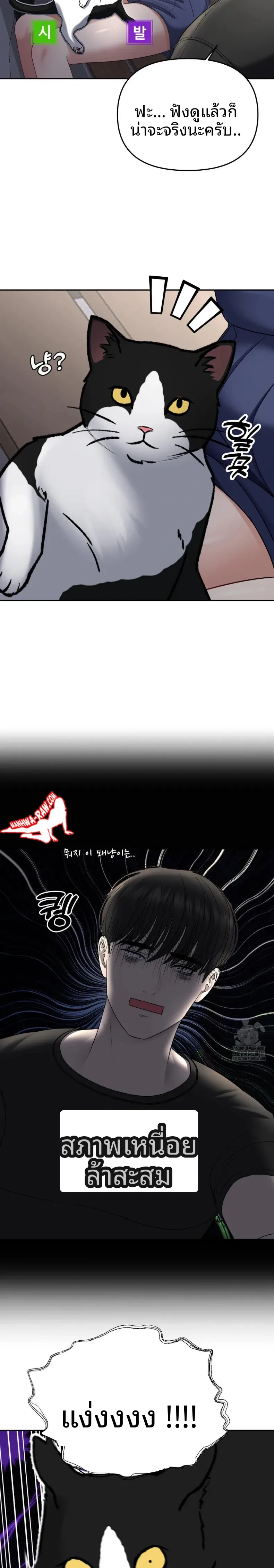 page-23