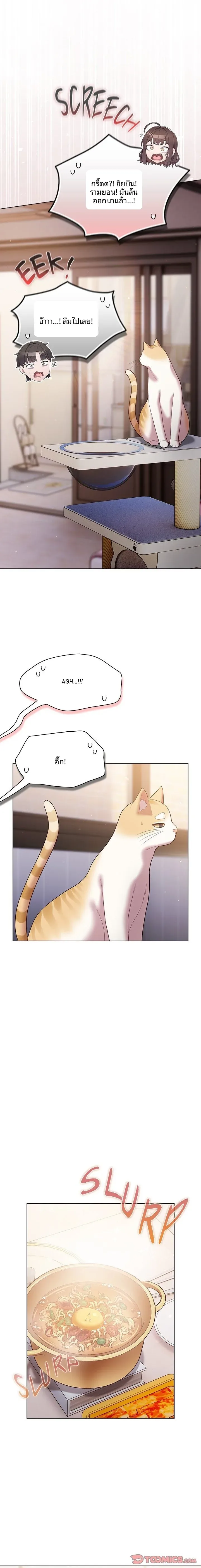page-17
