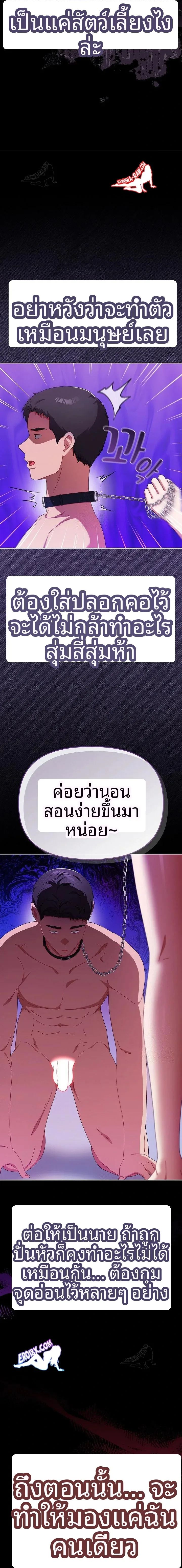 page-3